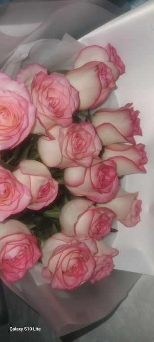 Цветы  роза   продоется  сегоднишный 5000