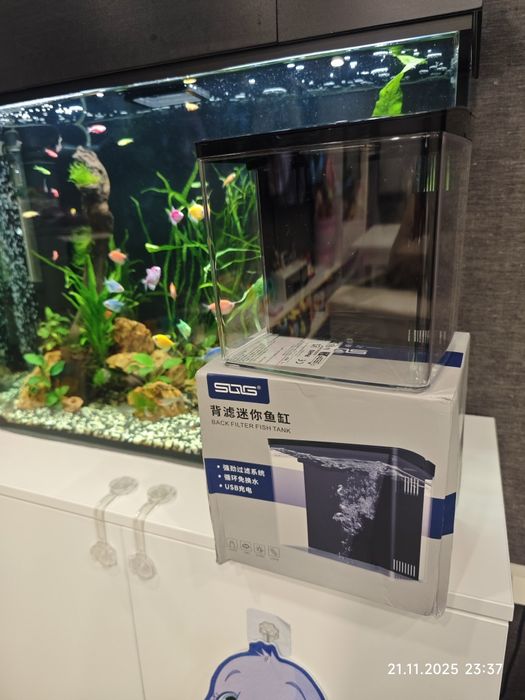 Аквариум за рибка бета (Beta)