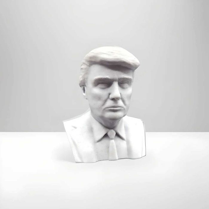 Bust Donald J. Trump, Marble White