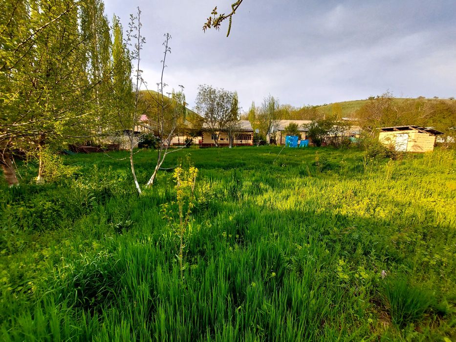 дом продаётся яяяяяяяяяяяяяяяяяяяяяяяяяяяяяяяяяяяяяяяяяяяяяяяяяя