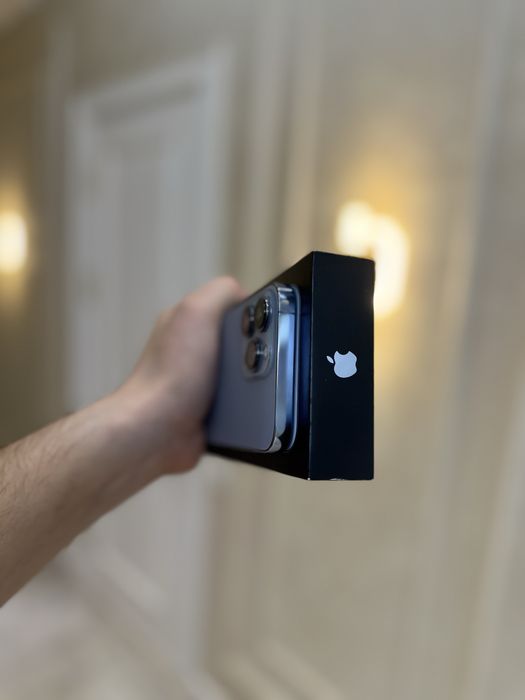 Iphone 13 pro ideal 10/10