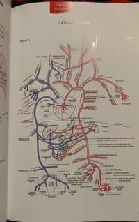 Ajutor proiecte GEOGRAFIE, BIOLOGIE / Meditații GIS