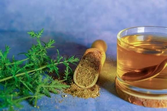 Pelinita uscata productie din anul 2025, pelin dulce, artemisia annua