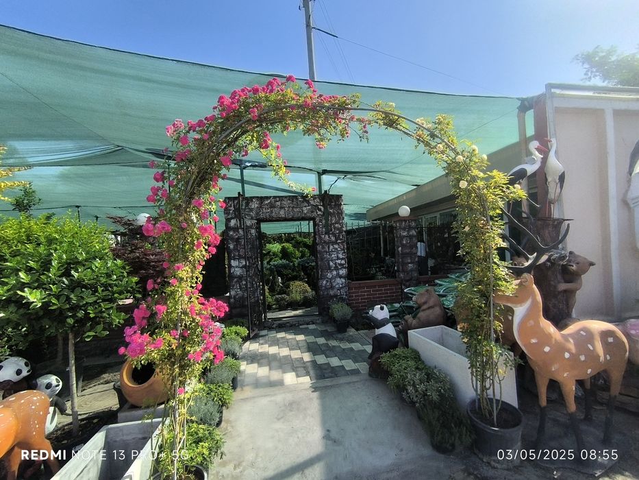 Gazon landshaft palift mkra klemint setka tortish