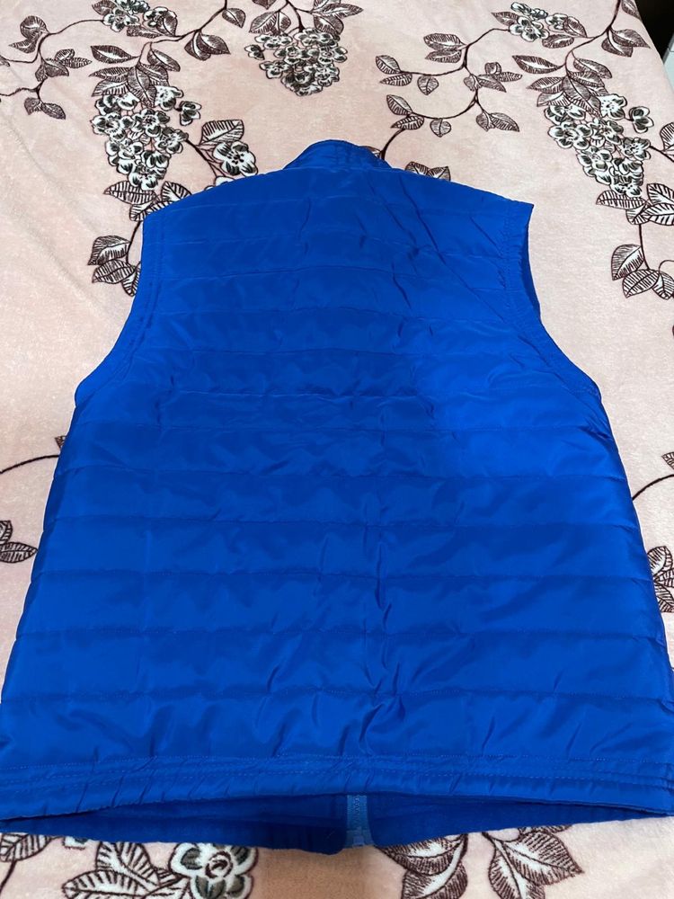 Vesta barbateasca M