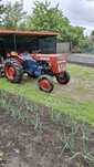 Tractor Same 35 campione Italia
