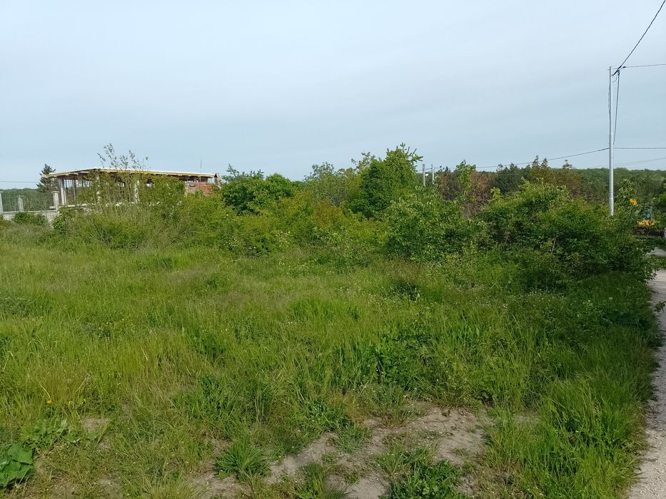 Почистване и ограждане на запустели имоти.