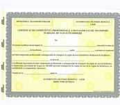 Manager transport altervativ-taxi
