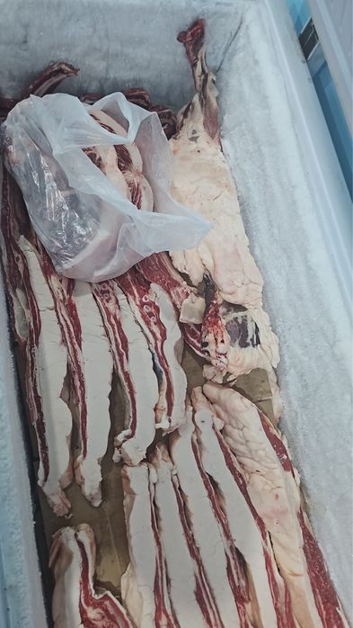 Продам согым сирактап