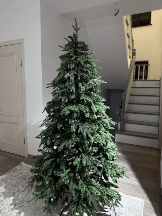 Новогодние елки по самым доступным ценам!