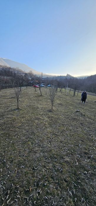 Teren intravilan 4323 mp