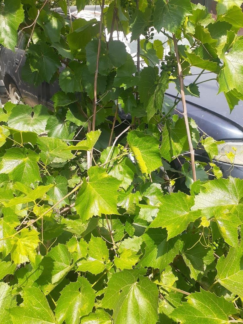 Продам дачу зимний вариант