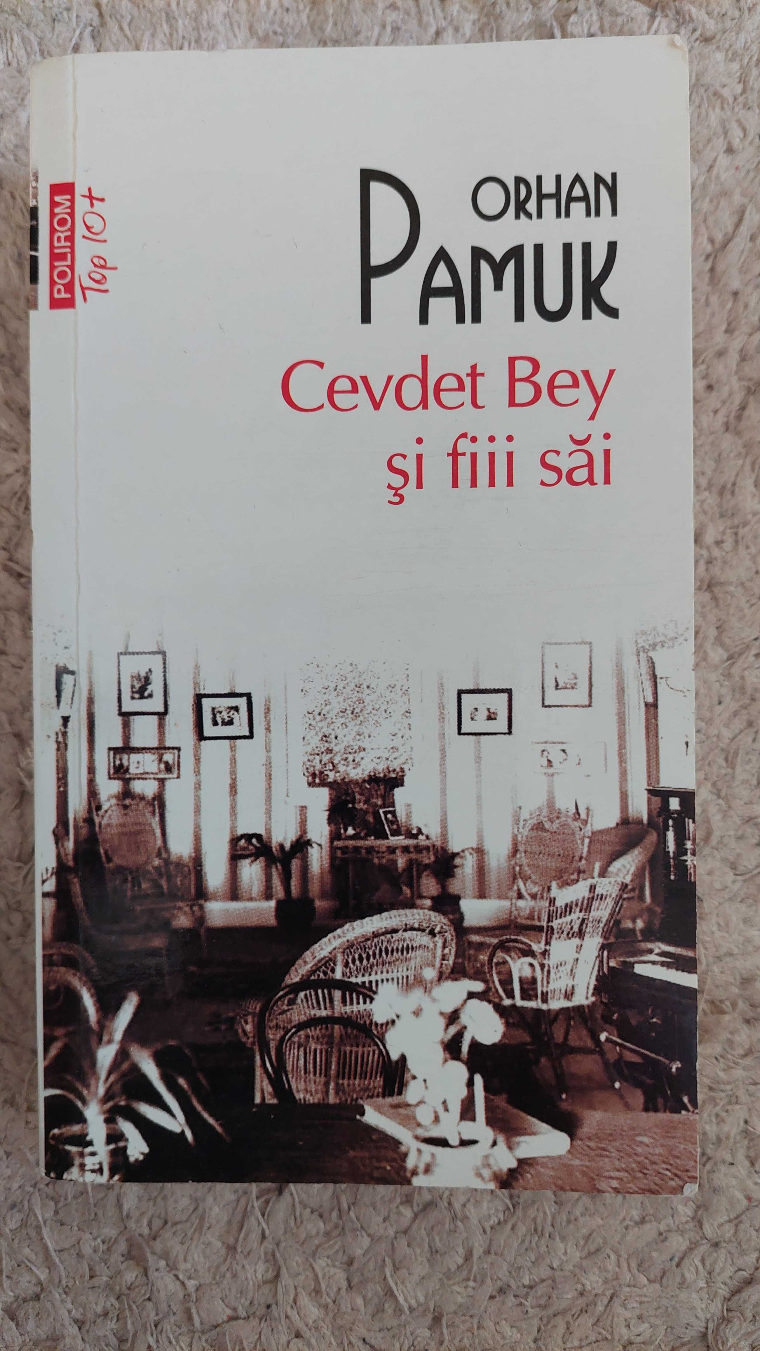 Orhan Pamuk Cevdet Bey si fiii săi