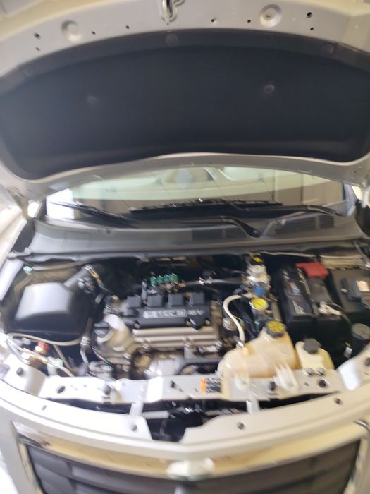 2019 cobilt radnoy