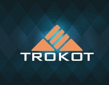 АВТО шторки Trocot