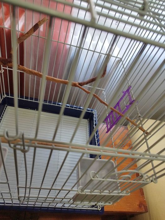 Colivie Micul Alexandru 44cm lungime si latime, 64cm inaltime