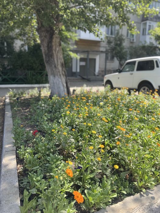 Двухкомнатная квартира