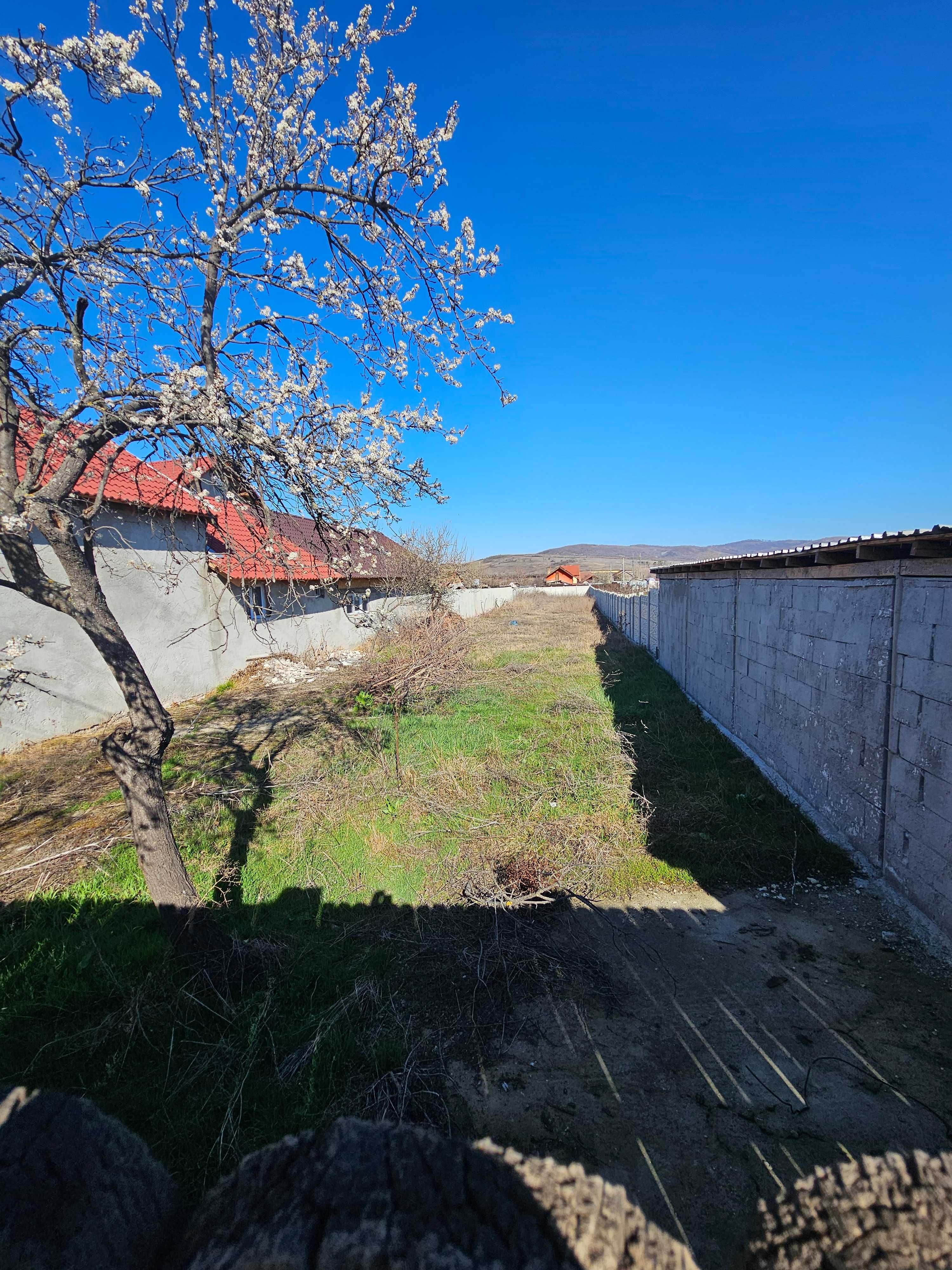 1000mp teren de vanzare in sat Halanga, com Izvorul Barzii, Mehedinti