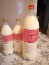 Продам молоко домашние свежее