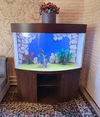 Akril akvarium акриловый аквариум 450 литр