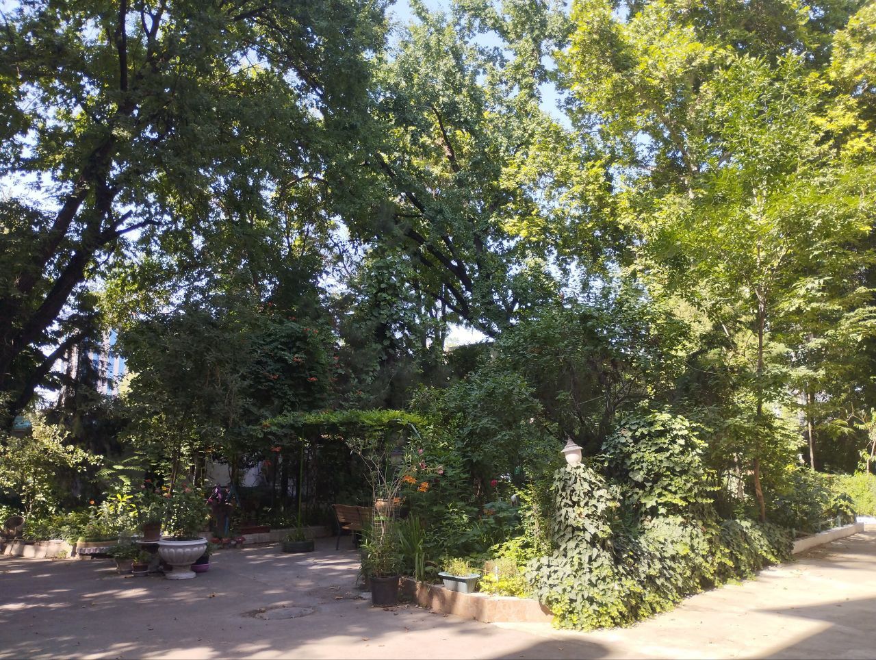 Ул.Амира Тимура 2/4/4 (600) Музей Искусств