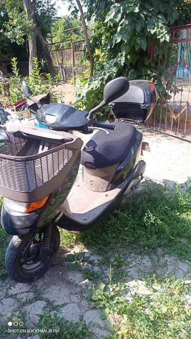 Скутер. Хонда     мопед