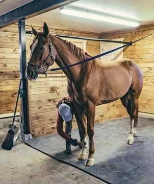 Резиновый мат коврик для коров / Сигирлар оёқ остига резинали мат