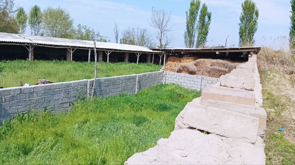 Yangiyulda hovli sotiladi