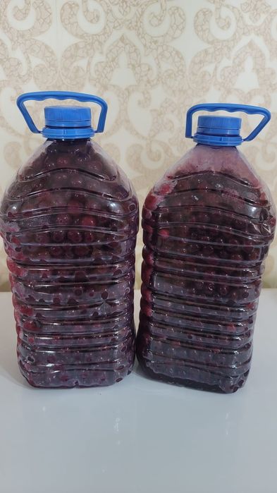 Продам домашнюю вишню очень крупная,