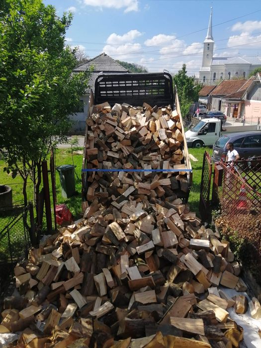 lemne de foc fag la boci