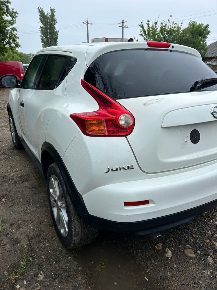 Punte spate Nissan Juke 2012