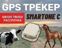 Спутниковый трекер по всему Казахстану