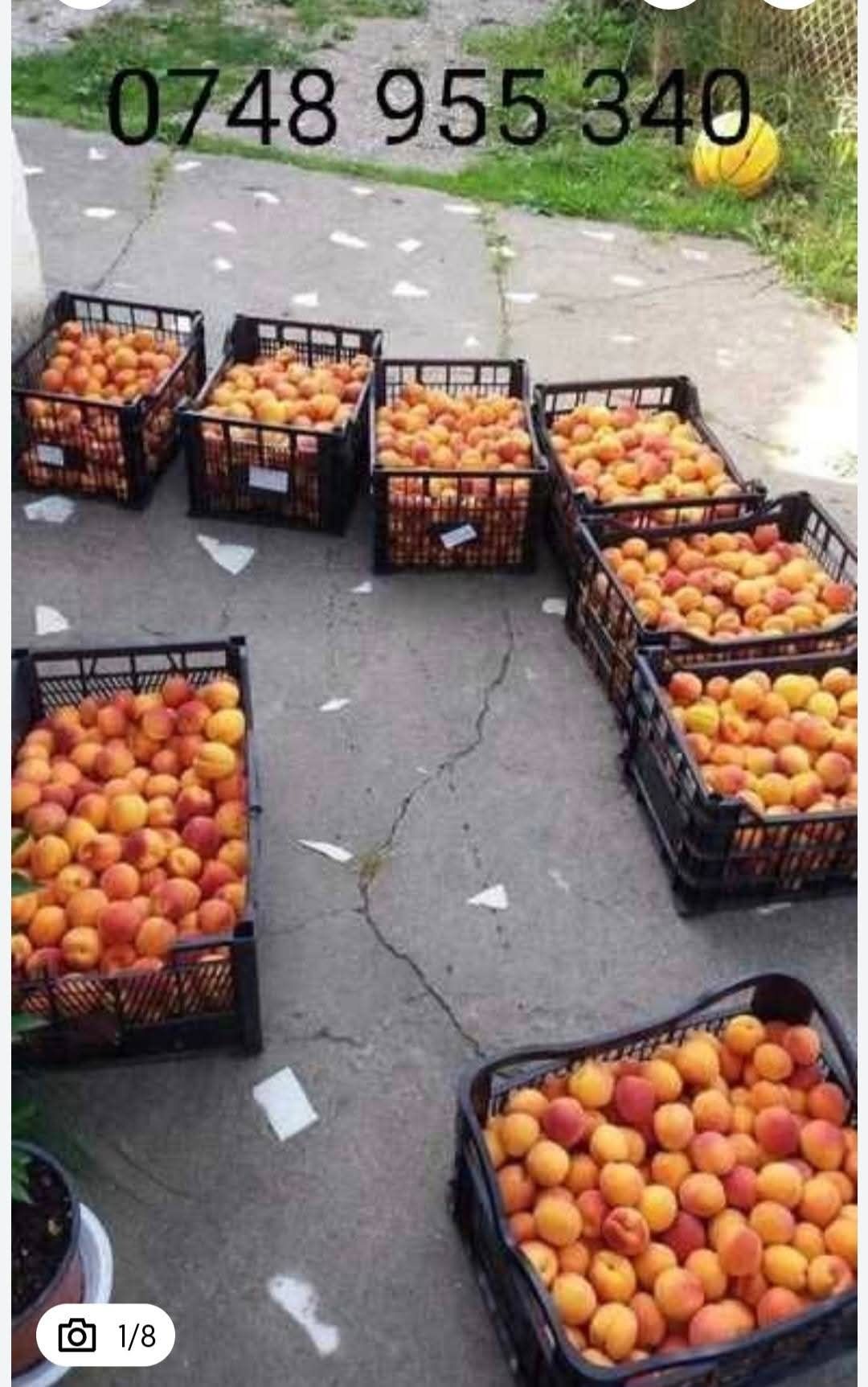 Livadă Sântimbru