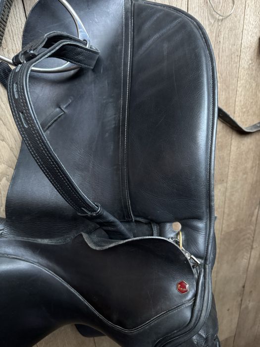 saua calarie/echitatie Albion model SL