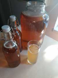 Ceai fermentat Kombucha