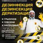 Услуги уничтожение клопов и тараканов