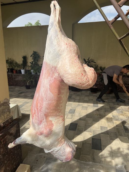 Эҳсон ва маросимлар учун қўйлар, қассоб хизмати