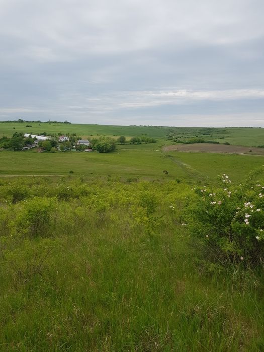 Vand teren Extravilan