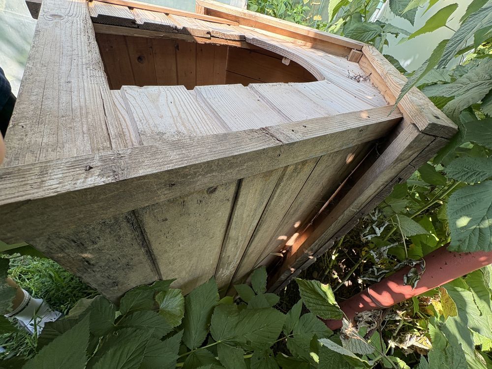 Cușcă de câini nefolosită, a prins pânză de spider man