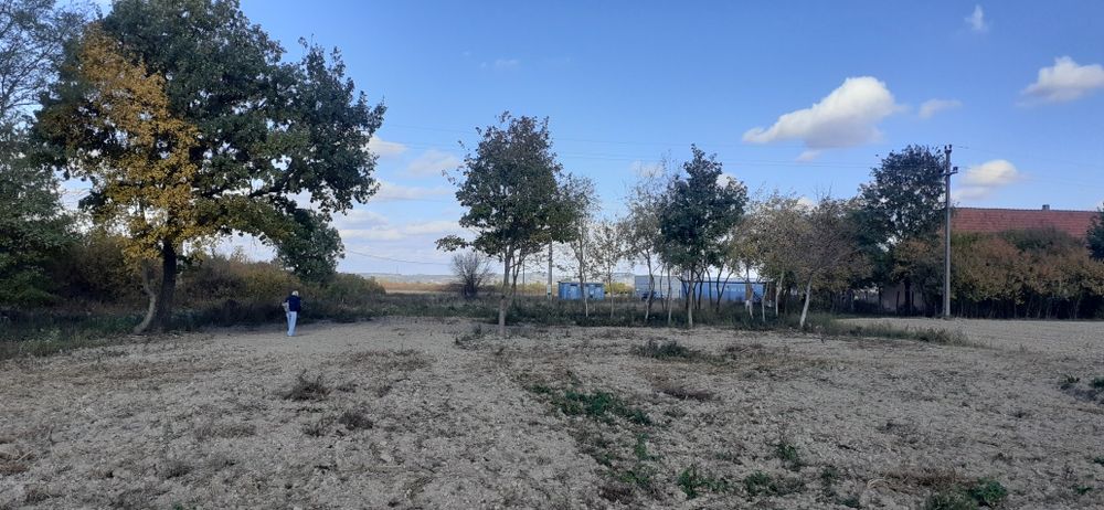 Teren intravilan comuna SACADAT, sat BORȘA, jud BIHOR