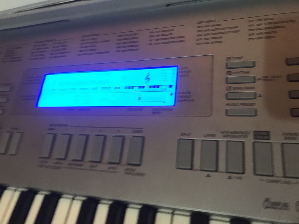 Синтезатор Арена Casio