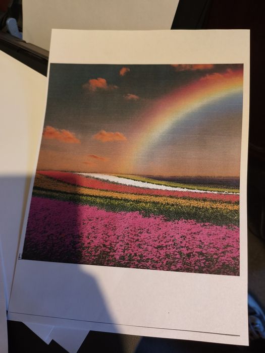 Canon 3в1 цветной принтер как новый