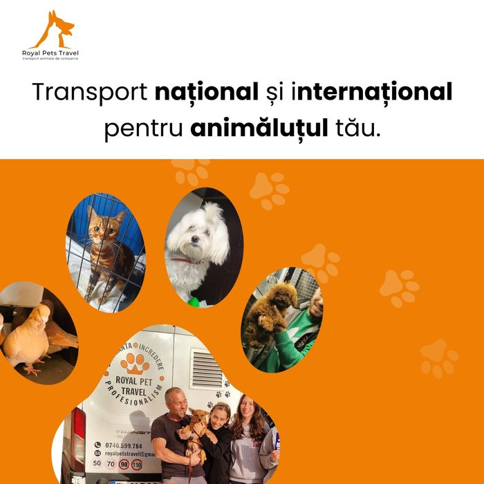 Transport autorizat A.N.S.V.S.A animale de companie Romania-Portugalia
