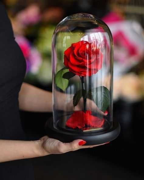 ПРОМОЦИЯ! Естествена вечна роза в стъкленица