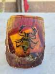 Piesă decorativă scorpion
