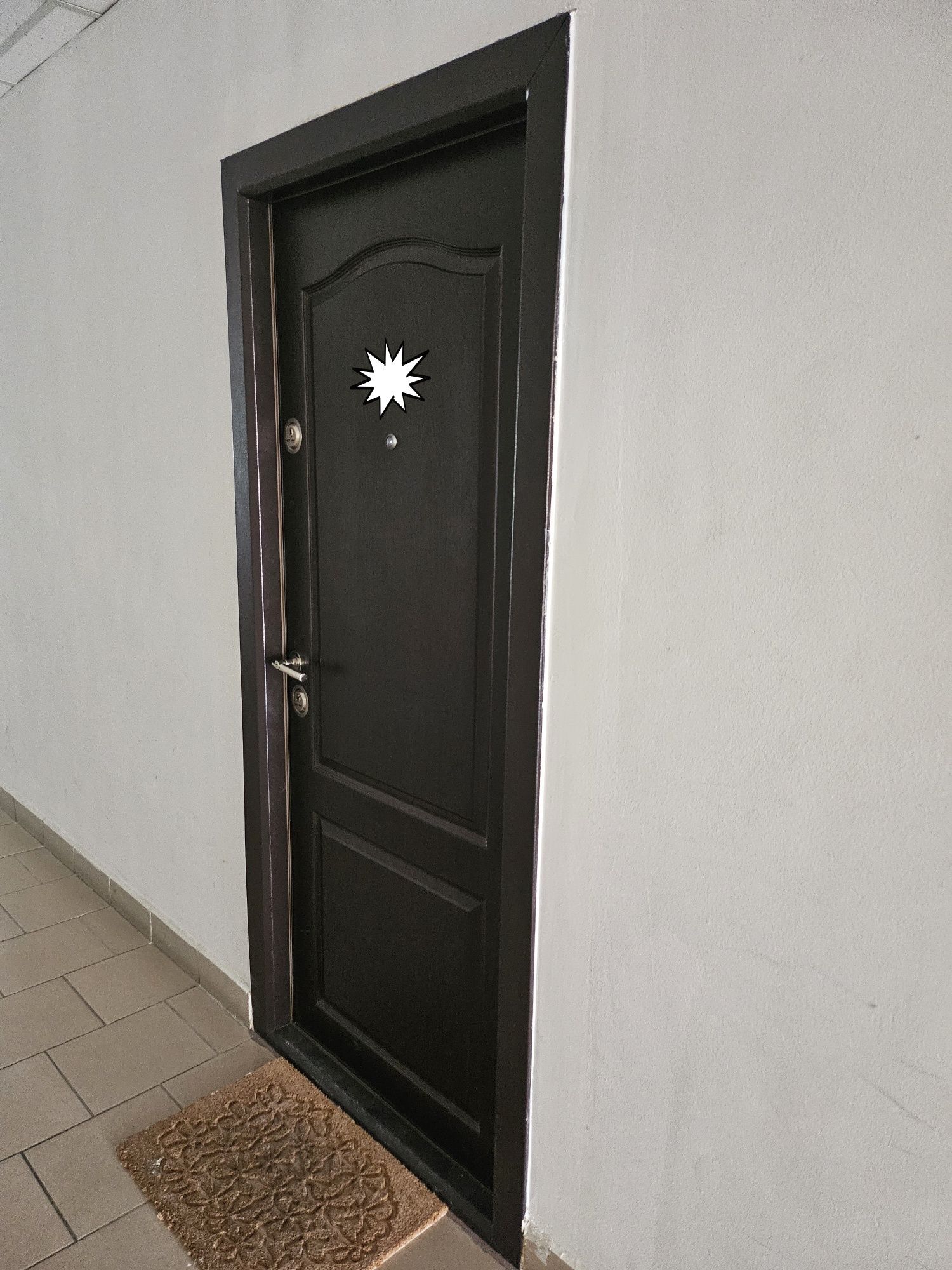 Ușă metalică Arta Door