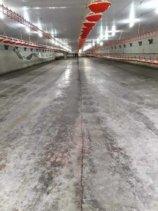 Дава се под наем Промишлена сграда в с. Балкански, Област Разград - 10000 кв.м за 867 € - Снимка #2