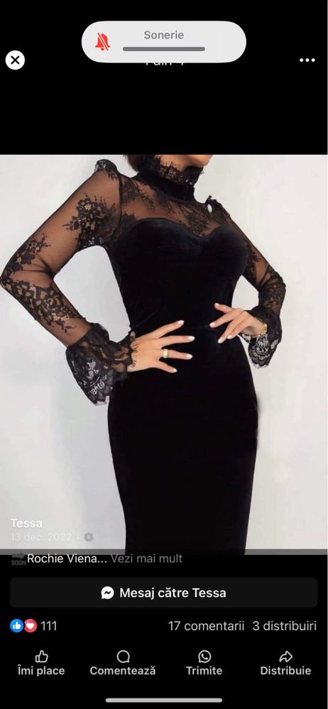 Rochie Tessa, meagra cu dantela