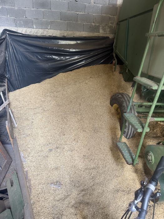 Orz de samanta jup c2 (sau porci ) grau anapurna c2