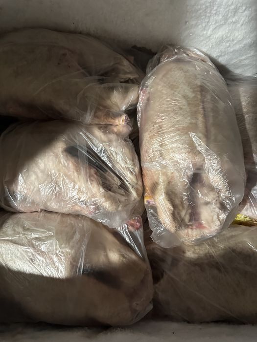Продам тушки уток